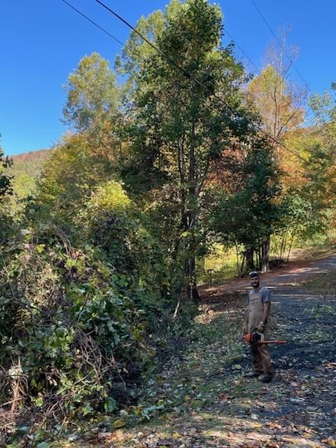 attach568_20241012_1951116131510507100567956