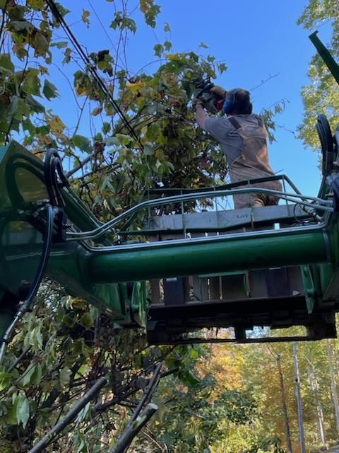 attach569_20241012_1951117889314953375543482