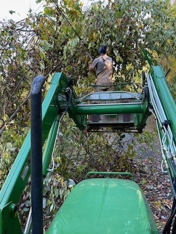 attach570_20241012_1951114893374397063838496