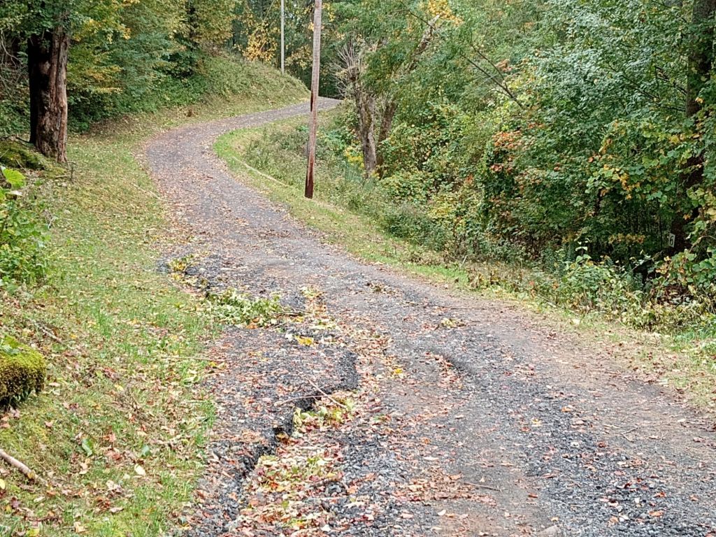 img_20241005_1420321701977268735901026069