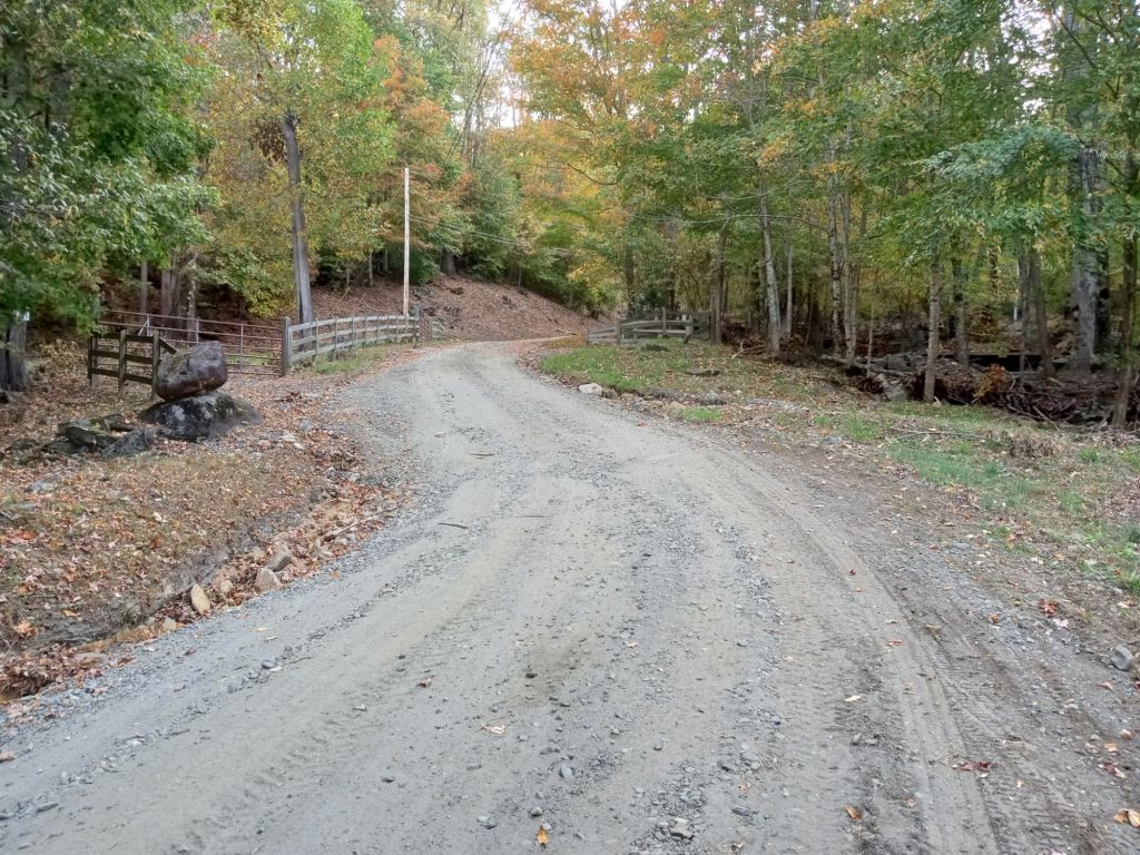 wp-17338833002685428413599026037028